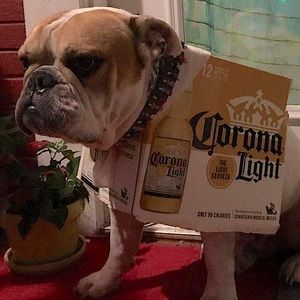 Ruff Ruff!! Bundle and save!!